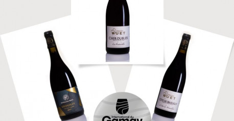 CONCOURS INTERNATIONALE DU GAMAY 2024