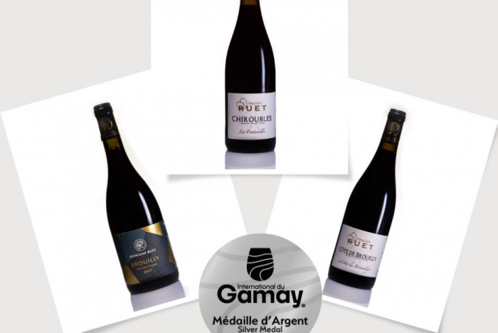 CONCOURS INTERNATIONALE DU GAMAY 2024